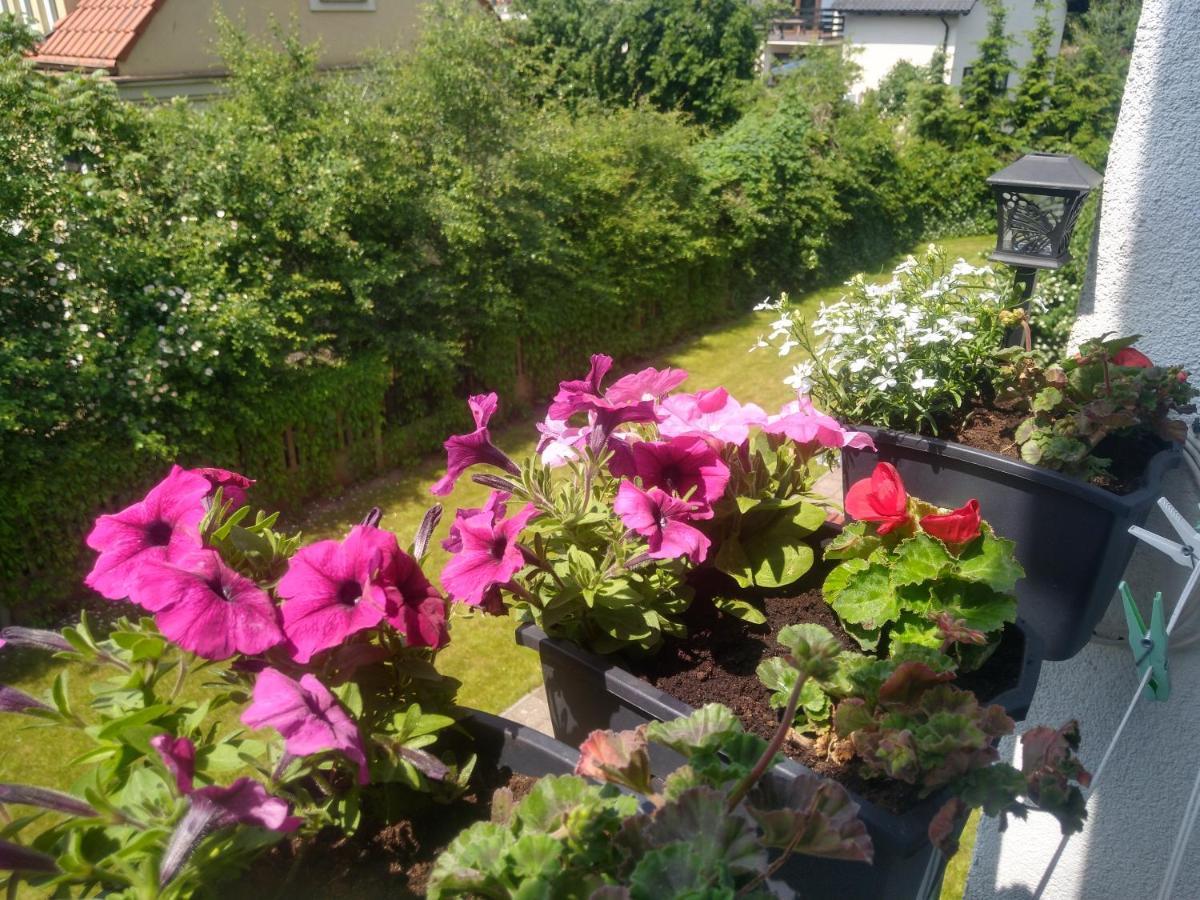 Apartament Olivia Centrum z zamknietym parkingiem Gdańsk Exterior foto